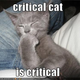Illustration for article titled Steam Link - The PHC Review (With Cat Pictures)